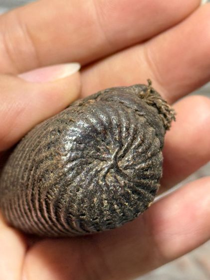 พระบ้านสะสมเก่า รูปที่ 4