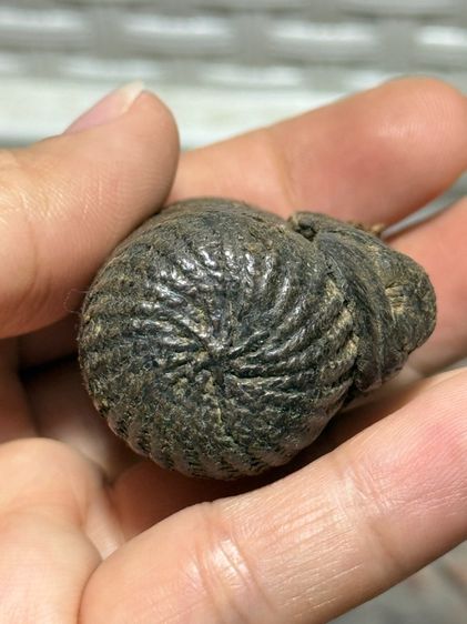 พระบ้านสะสมเก่า รูปที่ 5