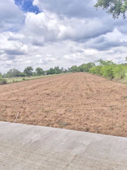 ขายที่ดิน 7 ไร่ ใกล้อำเภอ อาจสามารถ รูปที่ 4