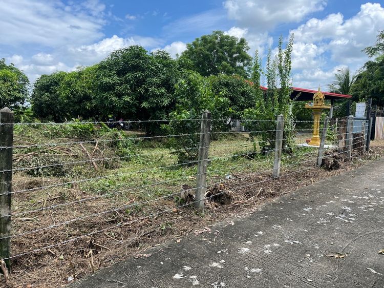 ใช่ บ้านสวน 1 ไร่ รูปที่ 2