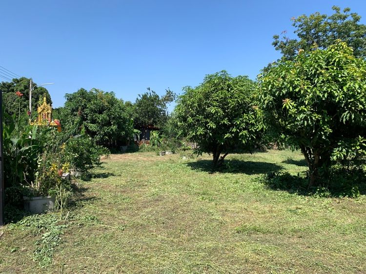 ใช่ บ้านสวน 1 ไร่ รูปที่ 4