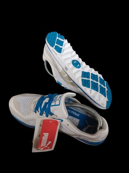 ไม่ระบุ ขาว รองเท้ากอล์ฟ puma golf 38.5 24.5cm.
