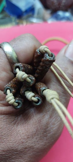 ตระกรุด เก้าดอก รูปที่ 5