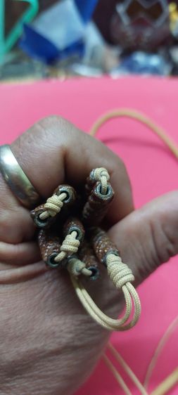 ตระกรุด เก้าดอก รูปที่ 4