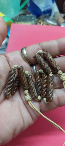 ตระกรุด เก้าดอก