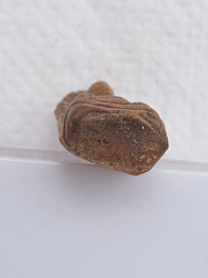 พระรอด 08016910 รูปที่ 3