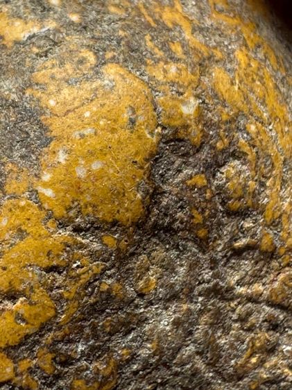 พระขุนแผนหลวงหลวงปู่ทิมวัดละหารไร่เนื้อผงพายกุมาร  รูปที่ 8