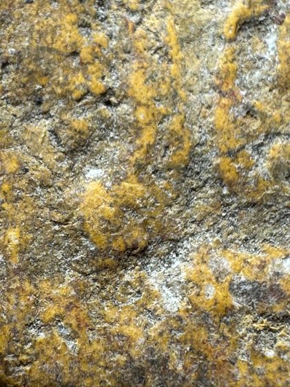 พระขุนแผนหลวงหลวงปู่ทิมวัดละหารไร่เนื้อผงพายกุมาร  รูปที่ 6