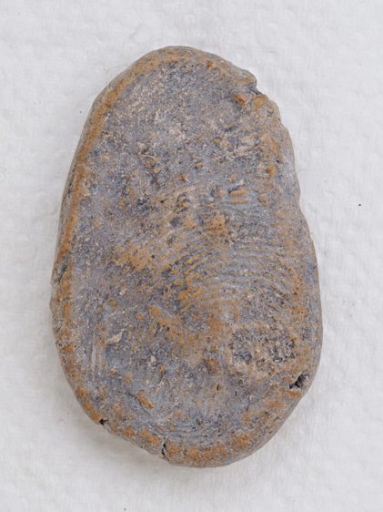 พระเนื้อดิน 08016919 รูปที่ 2