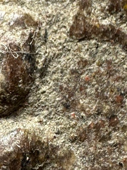 พระขุนแผน ผงพรายกุมาร หลวงปู่ทิม เนื้อผงพายกุมาร วัดละหารไร่ บ้านค่าย จ.ระยอง   รูปที่ 5