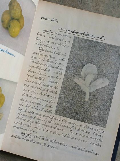 ตำราแกะสลักเครื่องสด รูปที่ 8