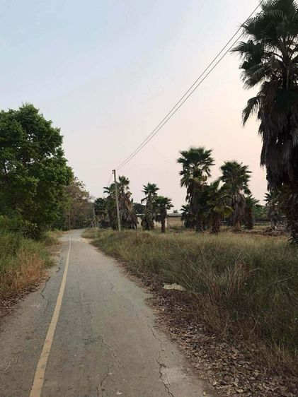 ใช่ นครปฐม รูปที่ 4