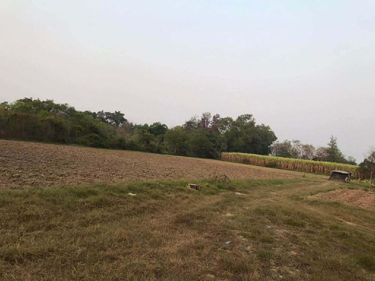 ใช่ นครปฐม รูปที่ 2