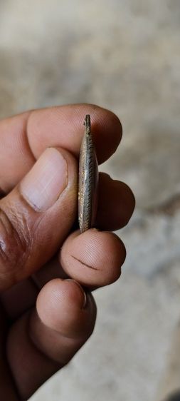 ล็อกเก็ตหลวงปู่แหวน รูปที่ 3