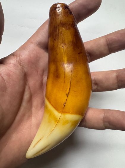 ของเก่าสะสมคนดอยประเทศพม่า รูปที่ 6