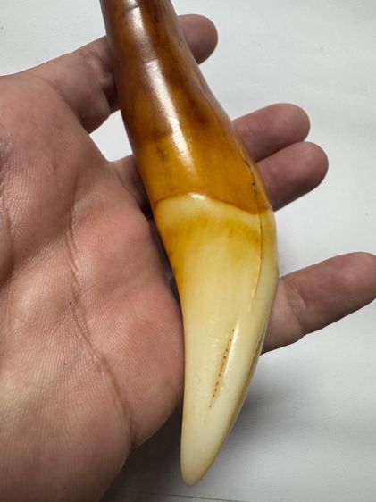 ของเก่าสะสมคนดอยประเทศพม่า รูปที่ 3