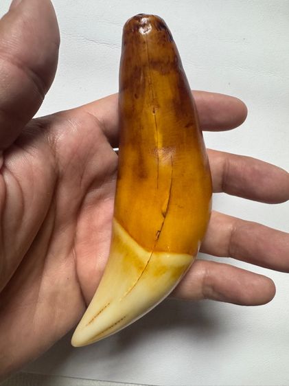 อื่นๆ ของเก่าสะสมคนดอยประเทศพม่า