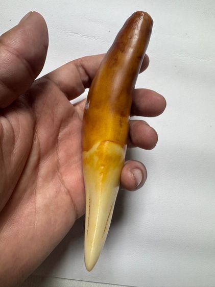 ของเก่าสะสมคนดอยประเทศพม่า รูปที่ 5