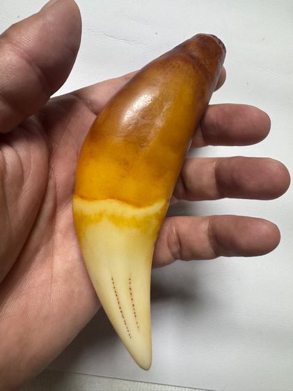 ของเก่าสะสมคนดอยประเทศพม่า รูปที่ 4