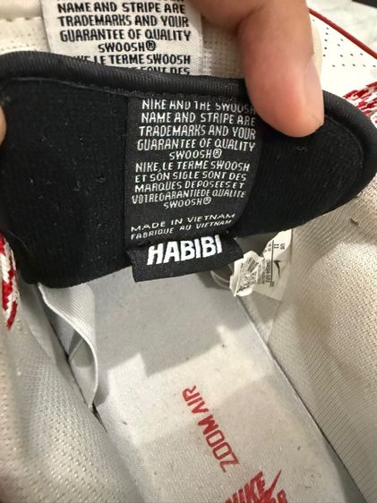 Nike Frame Skate X Dunk Low SB Habibi รูปที่ 5