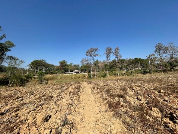 ขานที่ดินที่ภูเรือ จังหวัดเลย รูปที่ 4