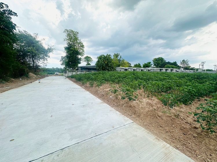 ขายที่ดินแปลงสวย ในเมืองโคราชใกล้เซฟวัน  จัดล็อค เฉลี่ย1 ไร่ละ3.6 ล้าน หลังเจ้าสัวโคราช น้ำไม่ท่วม. ราคาถูกพิเศษ หายากถ. คอนกรี รูปที่ 3