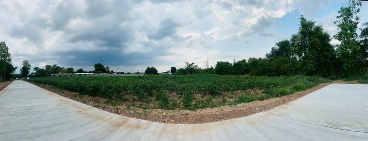 ขายที่ดินแปลงสวย ในเมืองโคราชใกล้เซฟวัน  จัดล็อค เฉลี่ย1 ไร่ละ3.6 ล้าน หลังเจ้าสัวโคราช น้ำไม่ท่วม. ราคาถูกพิเศษ หายากถ. คอนกรี รูปที่ 4