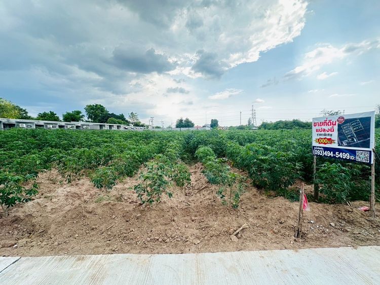 ขายที่ดินแปลงสวย ในเมืองโคราชใกล้เซฟวัน  จัดล็อค เฉลี่ย1 ไร่ละ3.6 ล้าน หลังเจ้าสัวโคราช น้ำไม่ท่วม. ราคาถูกพิเศษ หายากถ. คอนกรี รูปที่ 2