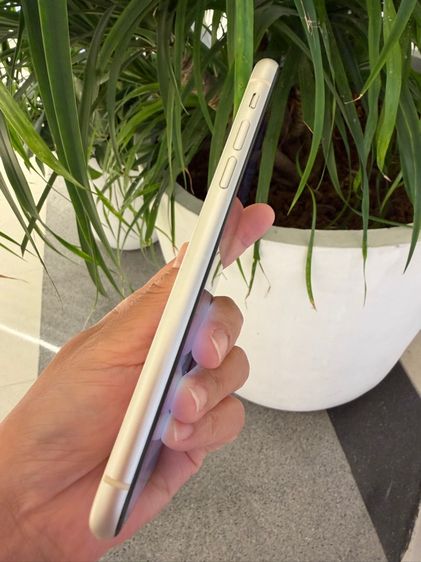 iphone 11 64g รูปที่ 6