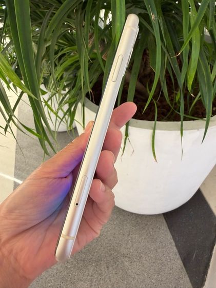 iphone 11 64g รูปที่ 5
