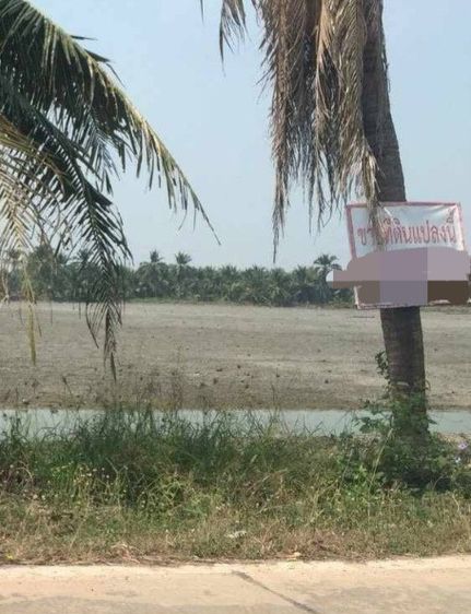 ขายที่ดินสมุทรสาคร รูปที่ 2