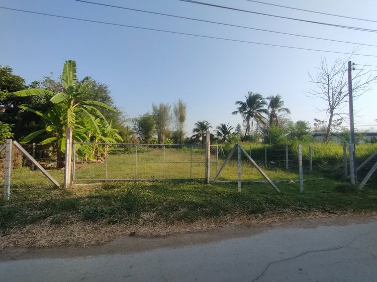 ที่ดินเชียงใหม่ทำเลสร้างบ้านได้เลย  รูปที่ 2