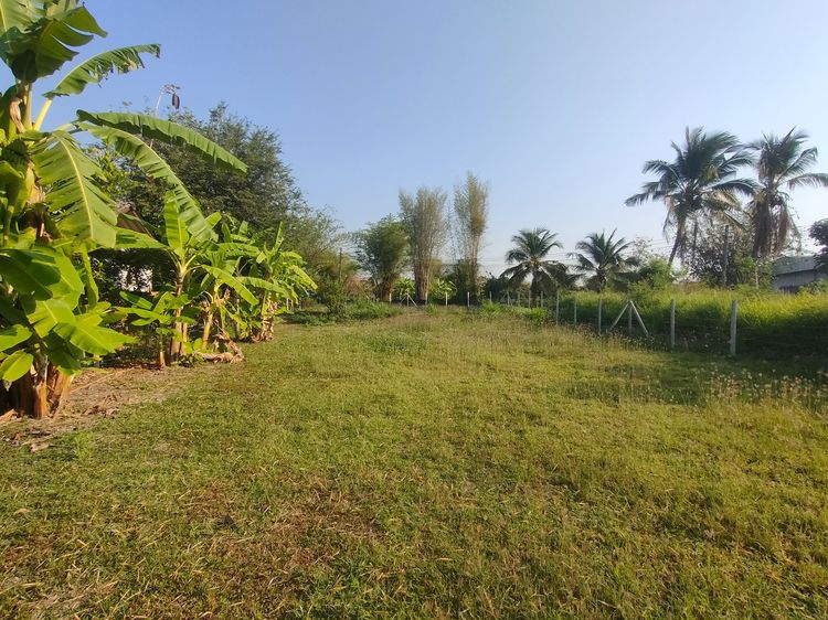 ที่ดินเชียงใหม่ทำเลสร้างบ้านได้เลย  รูปที่ 4