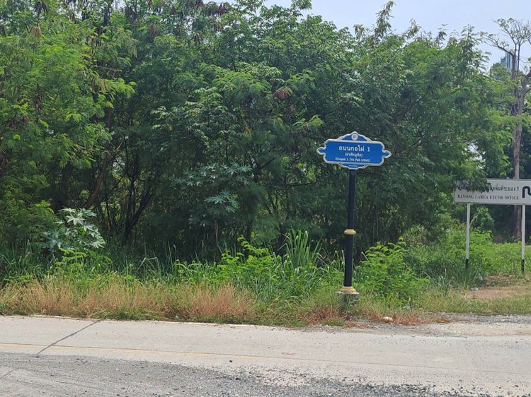 ที่ดิน 3 ไร่ 2 งาน โซนเนินพระ ระยอง รูปที่ 4