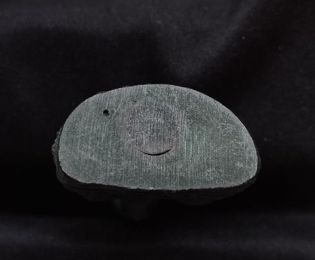 พระกริ่งสวนเต่า หลวงพ่อเต๋ รูปที่ 5