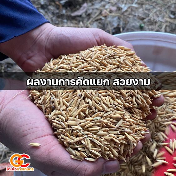 เครื่องร่อนข้าวเปลือก พร้อมใช้ มอเตอร์ 1 แรง คัดแยกข้าวสะอาด แยกสิ่งเจือปน รูปที่ 8