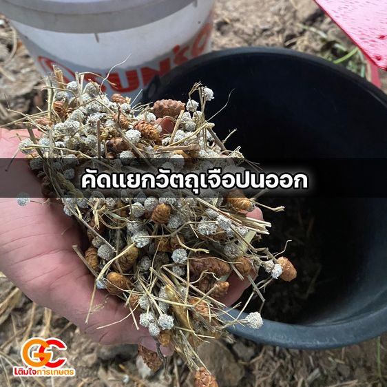 เครื่องร่อนข้าวเปลือก พร้อมใช้ มอเตอร์ 1 แรง คัดแยกข้าวสะอาด แยกสิ่งเจือปน รูปที่ 7