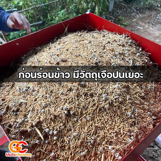 เครื่องร่อนข้าวเปลือก พร้อมใช้ มอเตอร์ 1 แรง คัดแยกข้าวสะอาด แยกสิ่งเจือปน รูปที่ 6