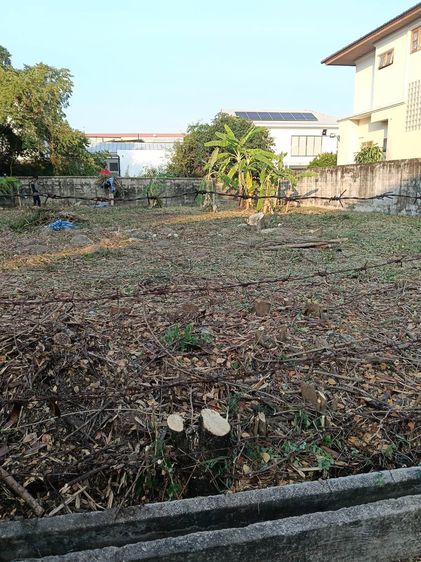 ขายที่ดินเปล่า  หมู่บ้านธารารมณ์ สุขาภิบาล 3 รูปที่ 4