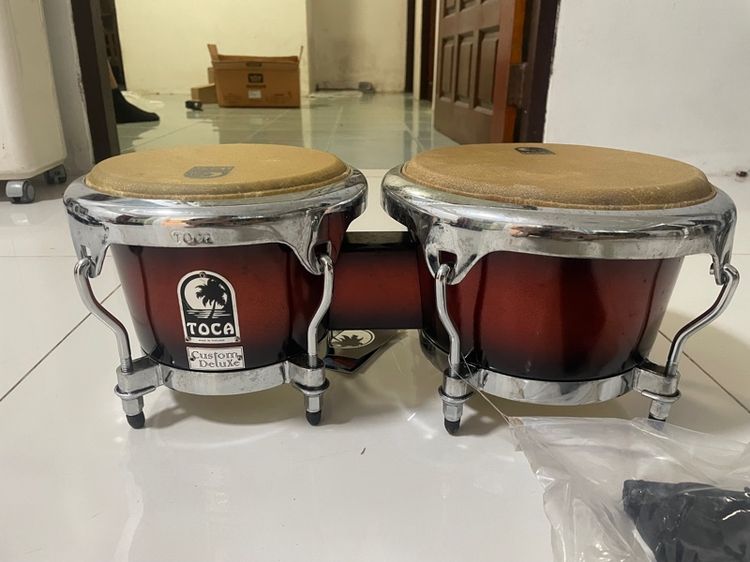 เฟรนช์ฮอร์น กลองบองโก้ รูปที่ 5