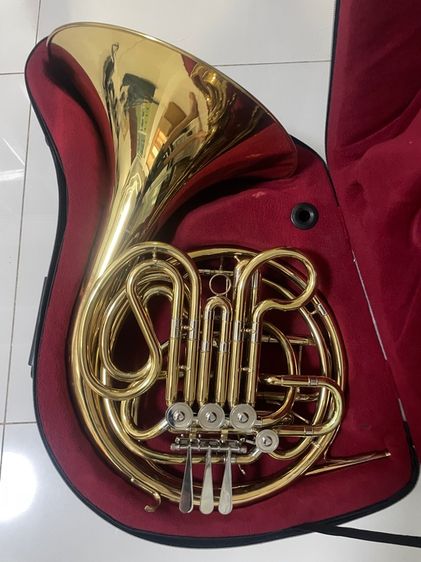 เฟรนช์ฮอร์น กลองบองโก้ รูปที่ 2