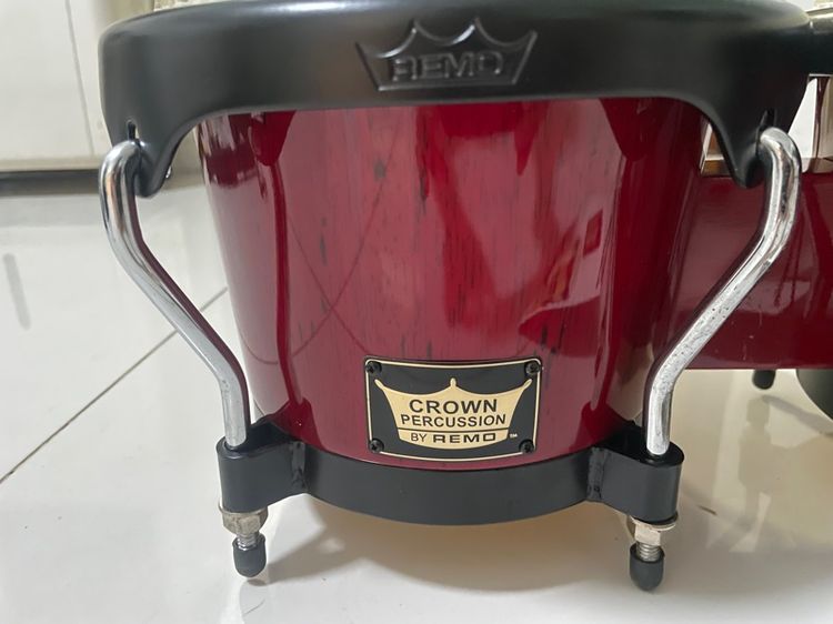 เฟรนช์ฮอร์น กลองบองโก้ รูปที่ 12