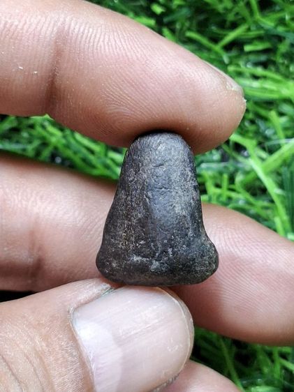 เนื้อผงคลุกรักเก่า ไม่ทราบที่ รูปที่ 2