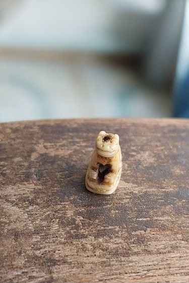 เขี้ยวแกะ รูปที่ 3