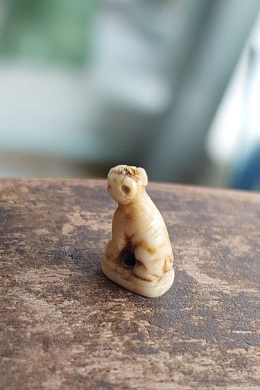 เขี้ยวแกะ รูปที่ 7