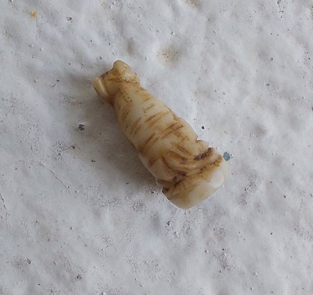 เขี้ยวแกะ รูปที่ 8