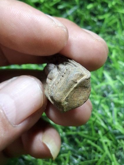 (เนื้อเขียว)พระคงลำพูน สภาพสวย กดพิมพ์หน้าตาและปากติด รูปที่ 3