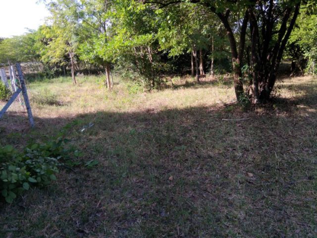 ที่ดินราคาเปล่า ราคาถูก เนื้อที่ 1 งาน 1 ตรว. 