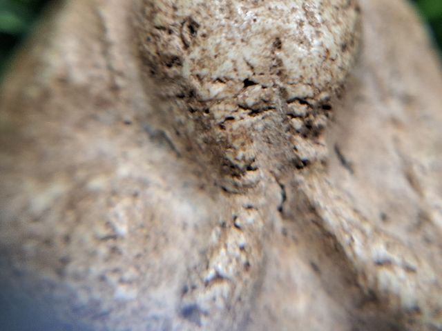 ปิดตาเนื้อจัดเก่า ไม่ทราบที่