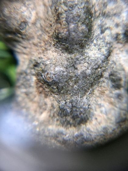 (ปิดแล้วครับ)พระนาคปรกลพบุรี เนื้อชินเก่า รูปที่ 3